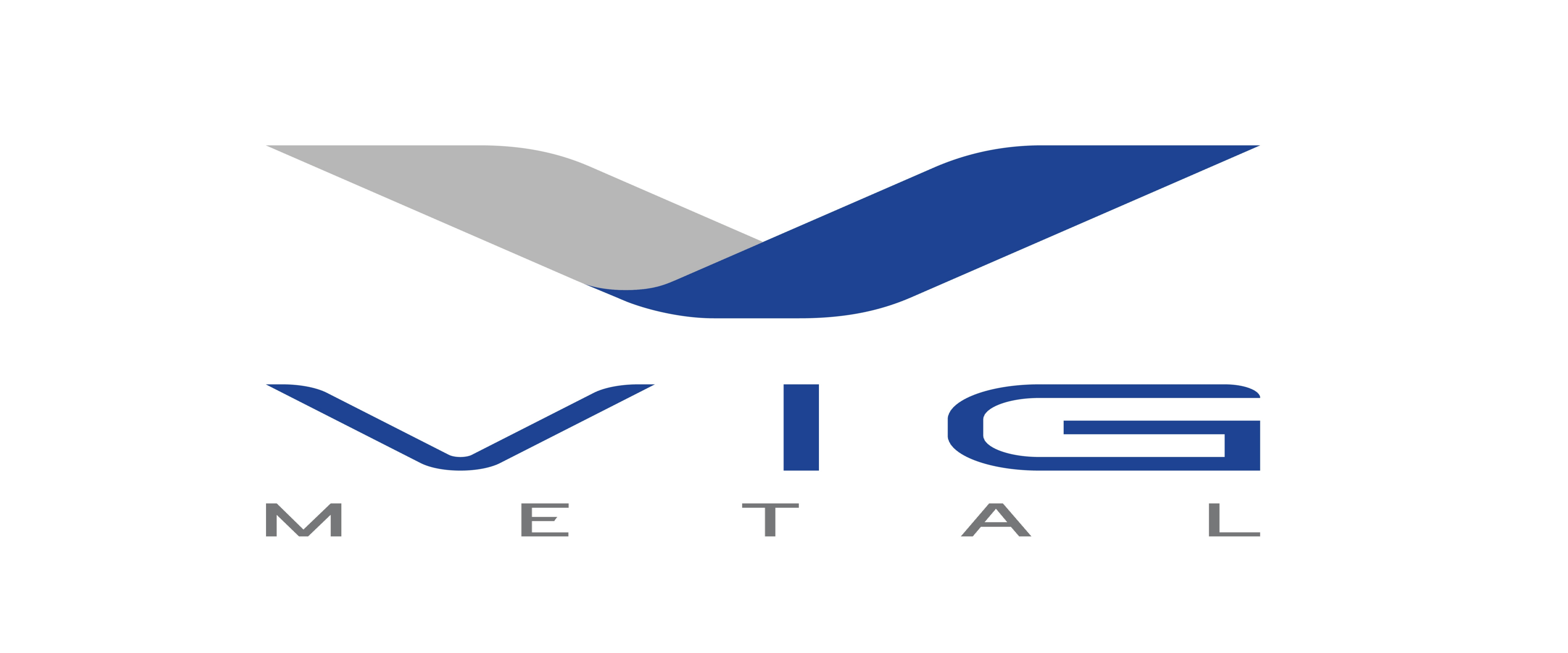 Vig Metal